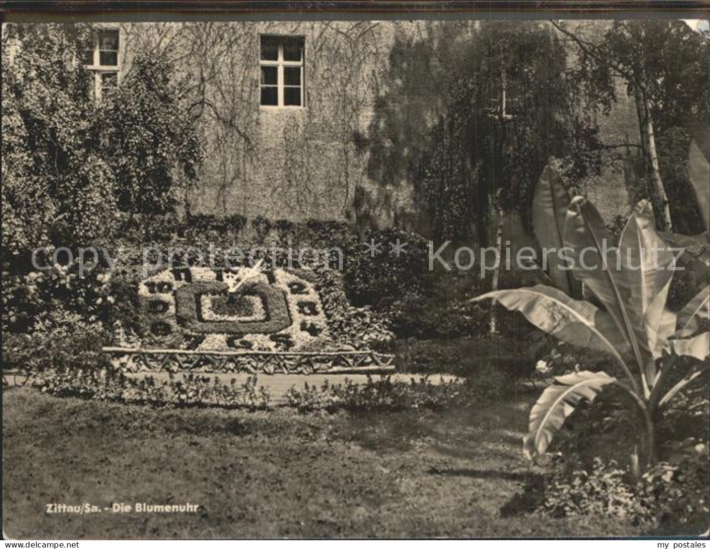 Zittau Blumenuhr
