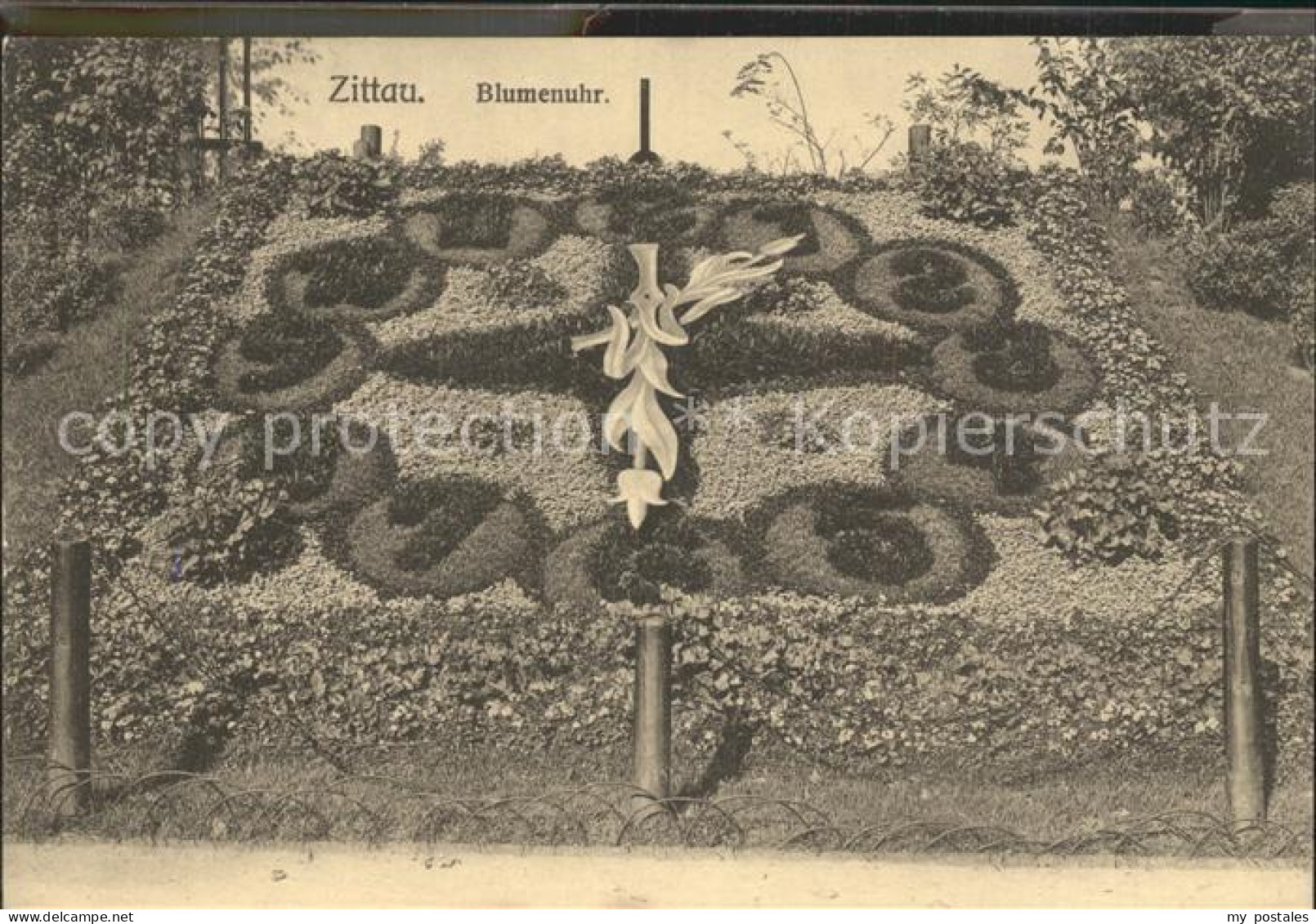 Zittau Blumenuhr
