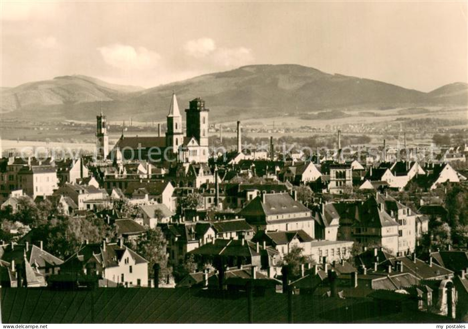 Zittau Panorama