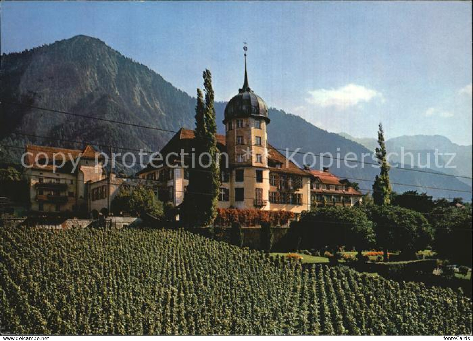 Zizers St Johannesstift Weinberge Alpen