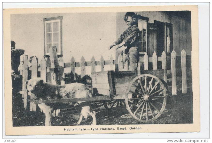 ZM 594/ C P A  -  CANADA  -QUEBEC   GASPE  TYPE HABITANT  ( ATTELAGE A CHIEN   )
