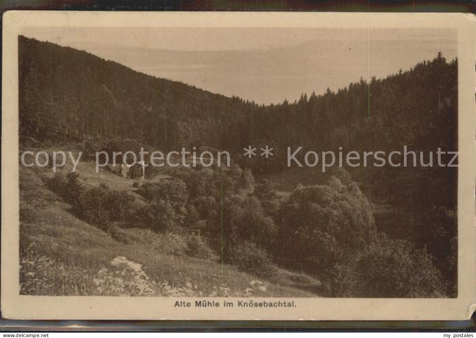Zoeblitz Sachsen Alte Muehle im Knoesebachtal