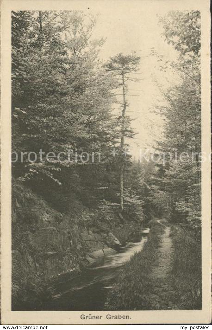 Zoeblitz Sachsen Gruener Graben Waldpartie