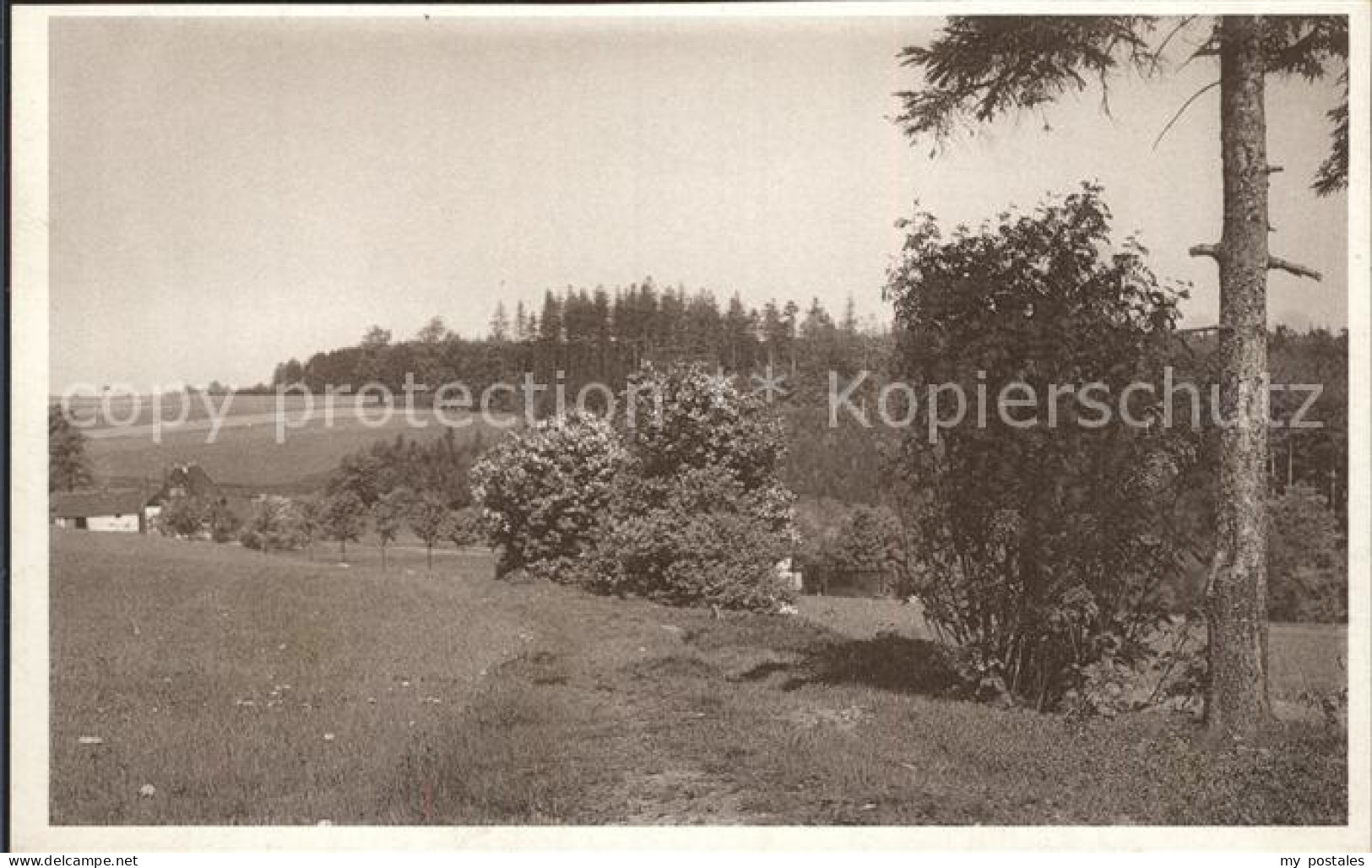 Zoeblitz Sachsen Landschaft