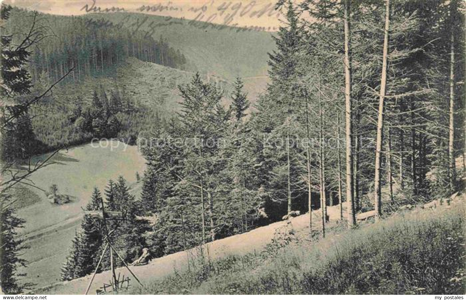 Zoeblitz Sachsen Partie am Pionerweg