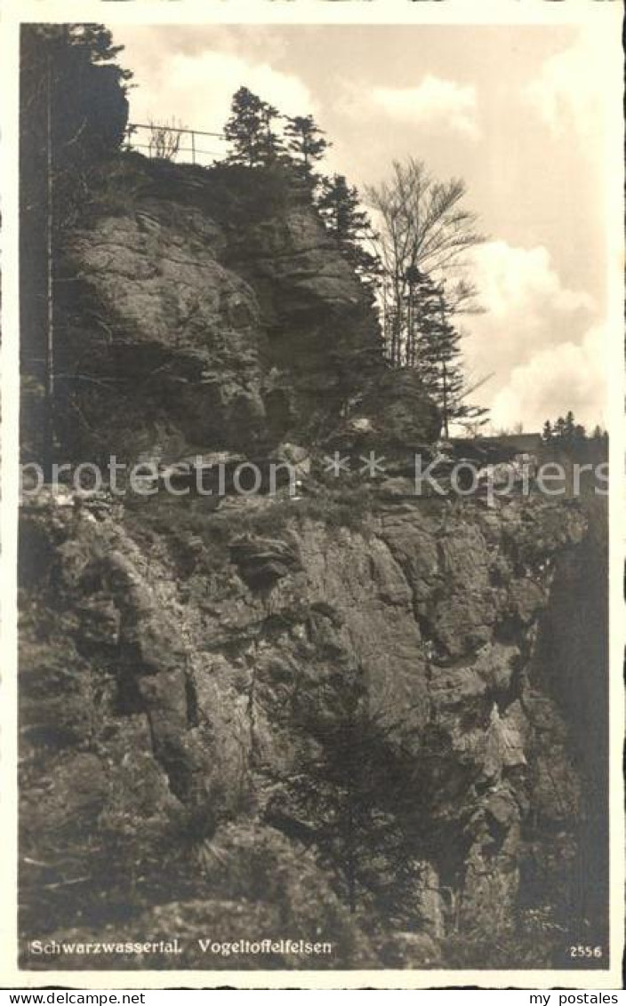 Zoeblitz Sachsen Vogeltoffelfelsen Schwarzwassertal Erzgebirge