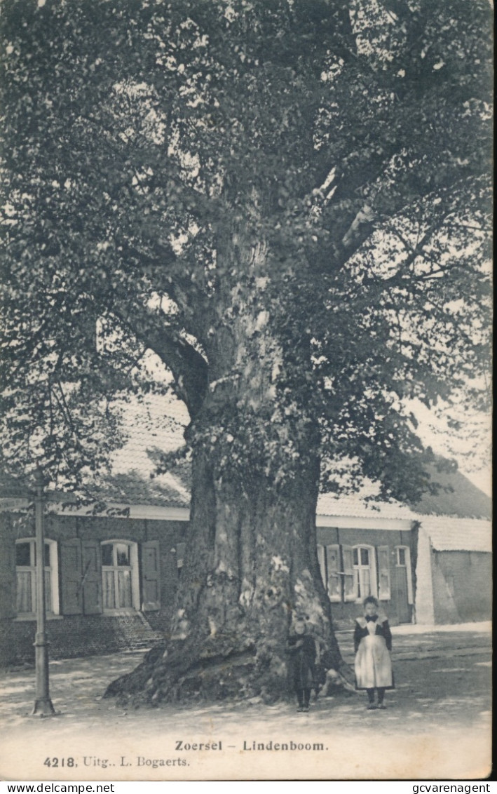ZOERSEL      LINDENBOOM