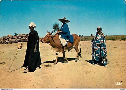 Carte Postale - Afrique - Afrique en Couleurs - 5896 - Scène africaine - Vaches - CPM - Voir Scans Recto-Verso - Poscard