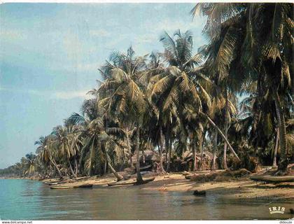 Carte Postale - Afrique - Afrique en couleurs 8215 plage de cocotiers - CPM - Etat froissures - Voir Scans Recto-Verso