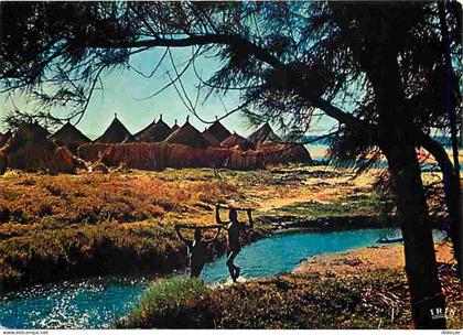 Carte Postale - Afrique - Afrique en Couleurs - Village Africain - CPM - Voir Scans Recto-Verso - Poscard - Carta Postal