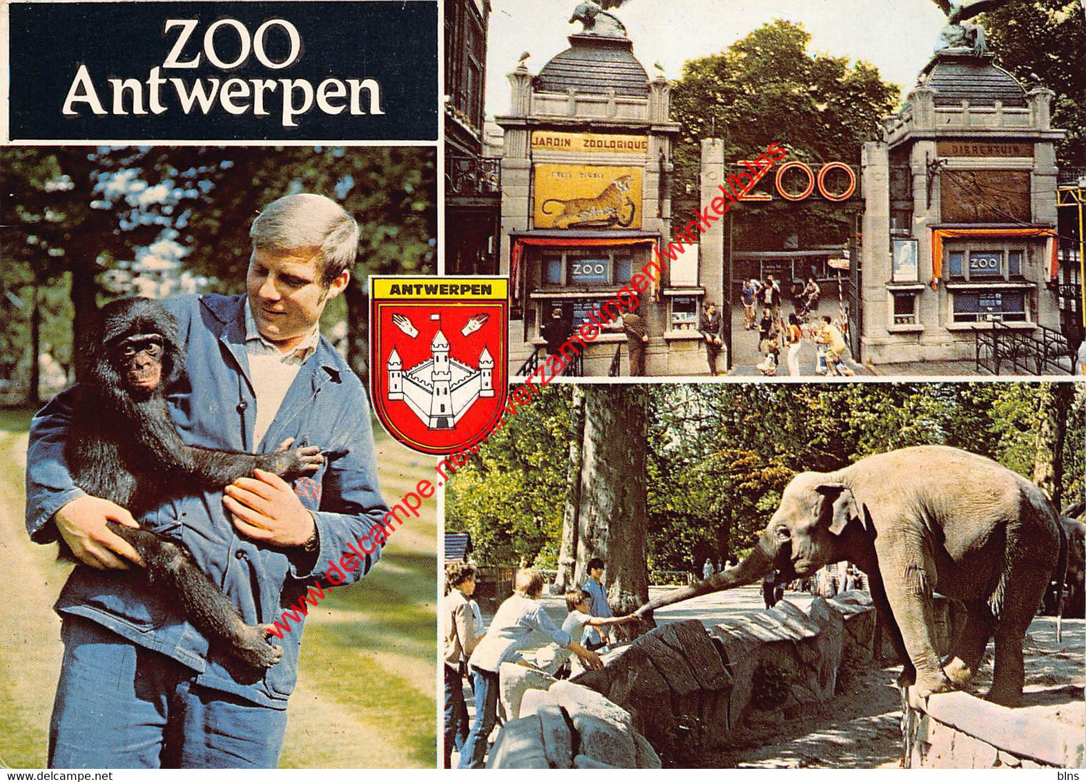 Zoo Antwerpen - dierentuin - Antwerpen