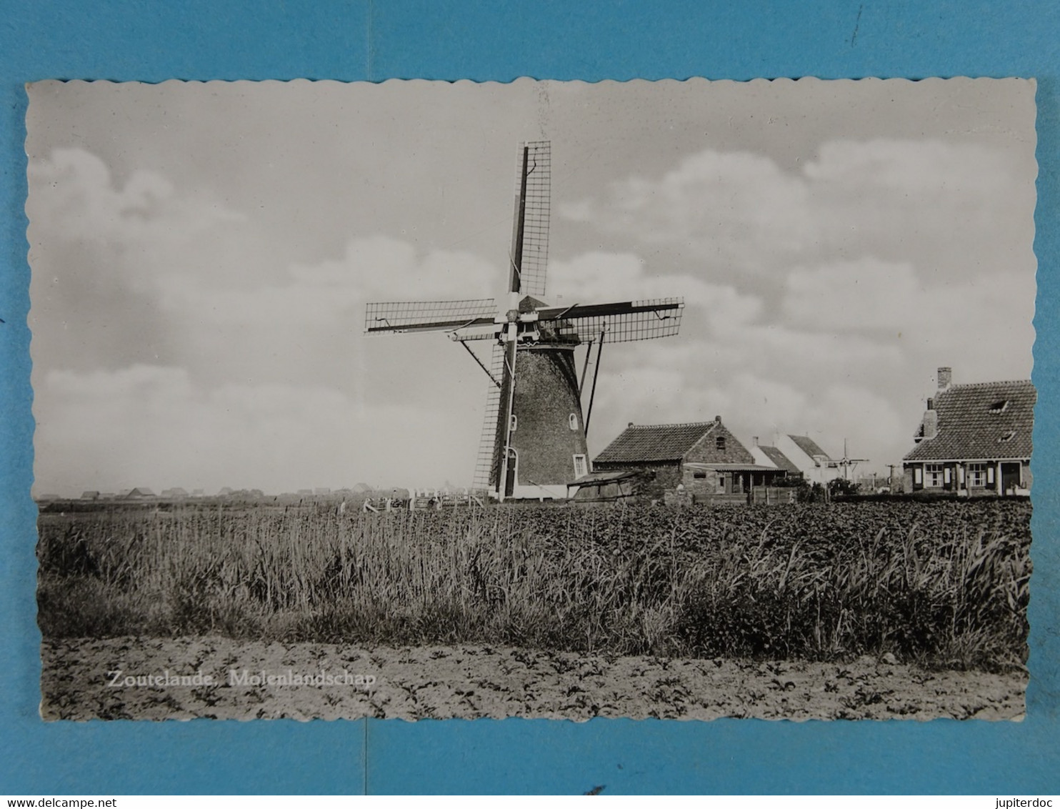 Zoutelande Molenlandschap
