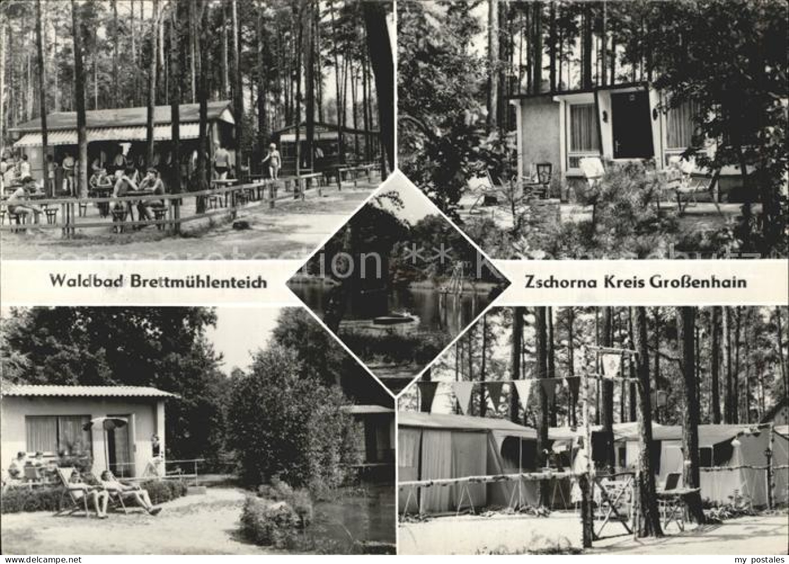 Zschorna Grossenhain Waldbad Brettmuehlenteich Camping