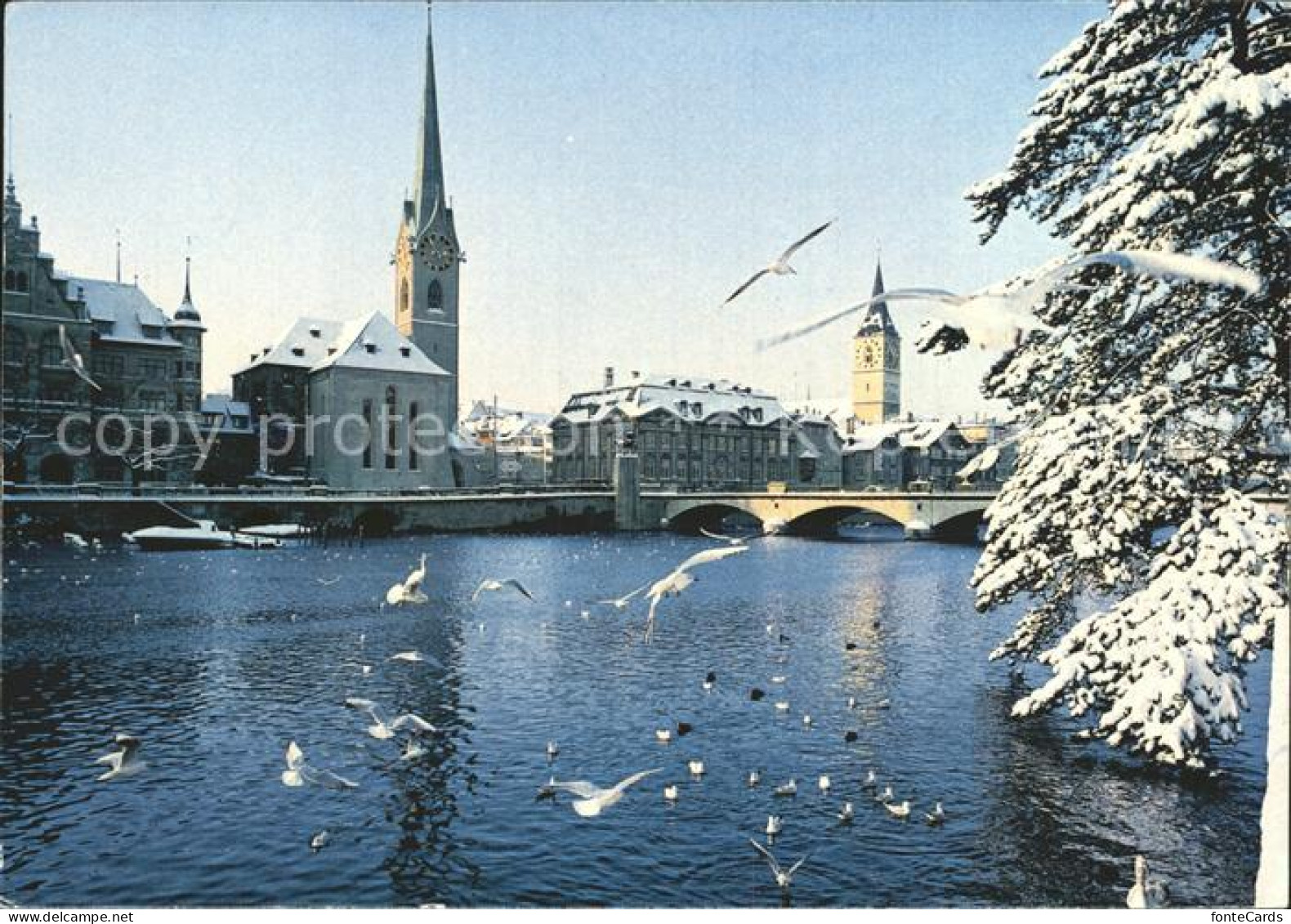 Zuerich Stadthaus Fraumuenster Meise St. Peter