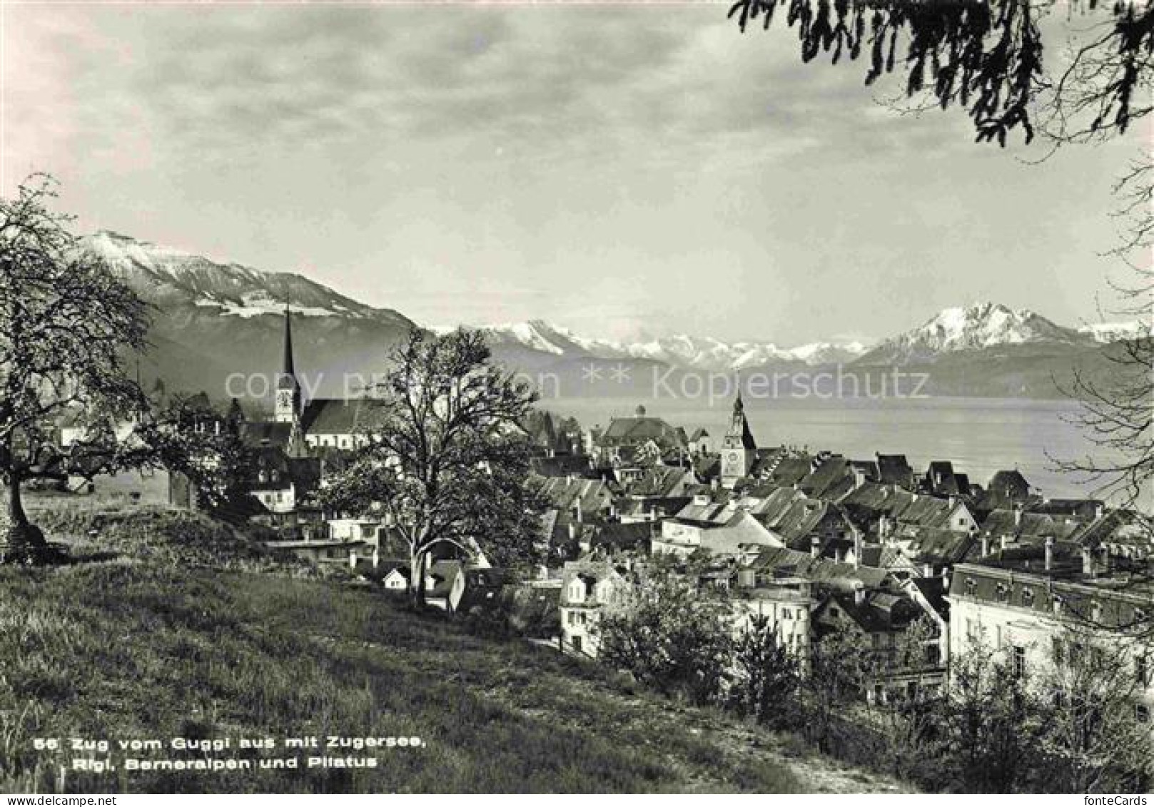 ZUG  Zugersee ZG Blick vom Guggi mit Zugersee Rigi Berneralpen und Pilatus