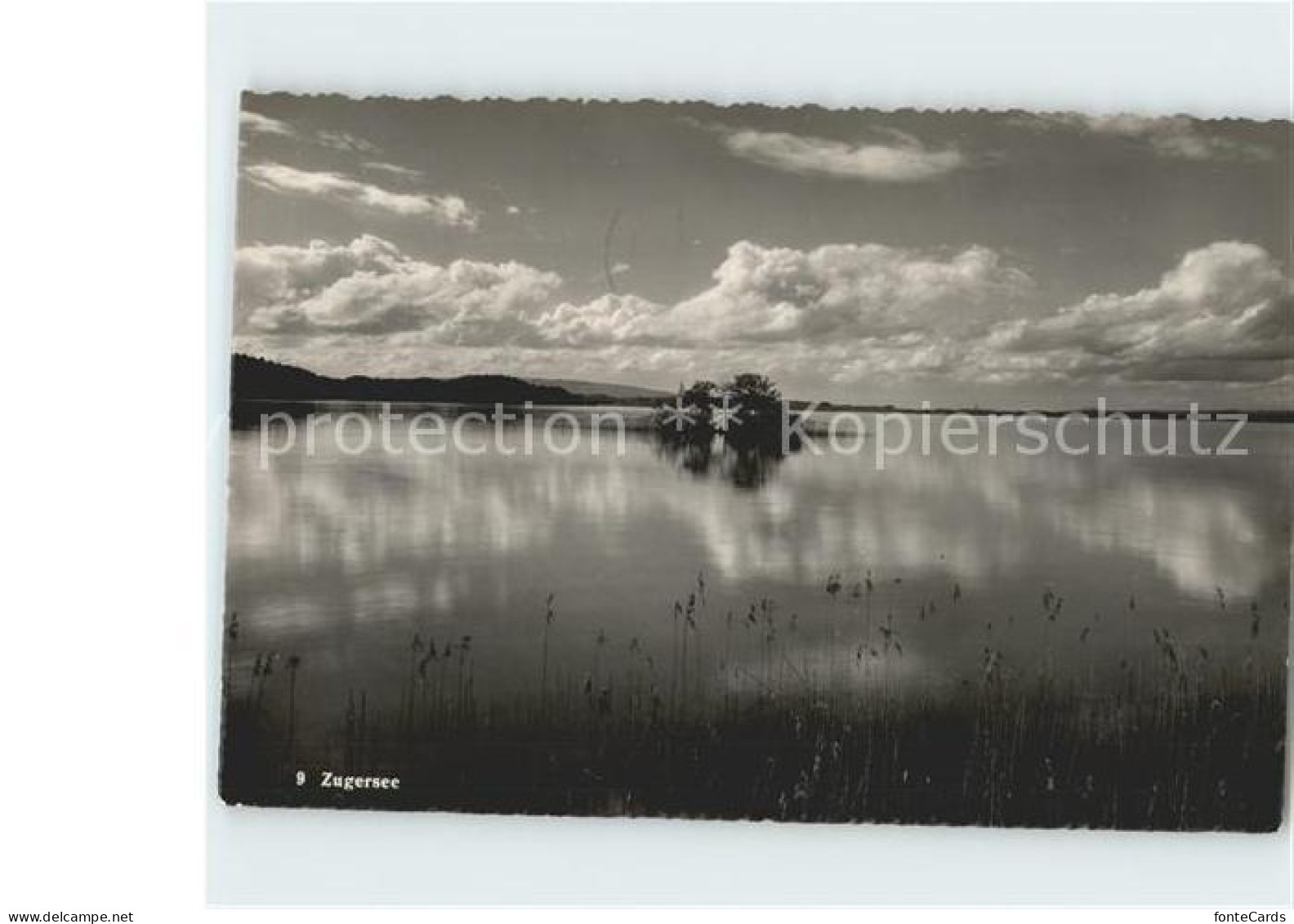 Zugersee