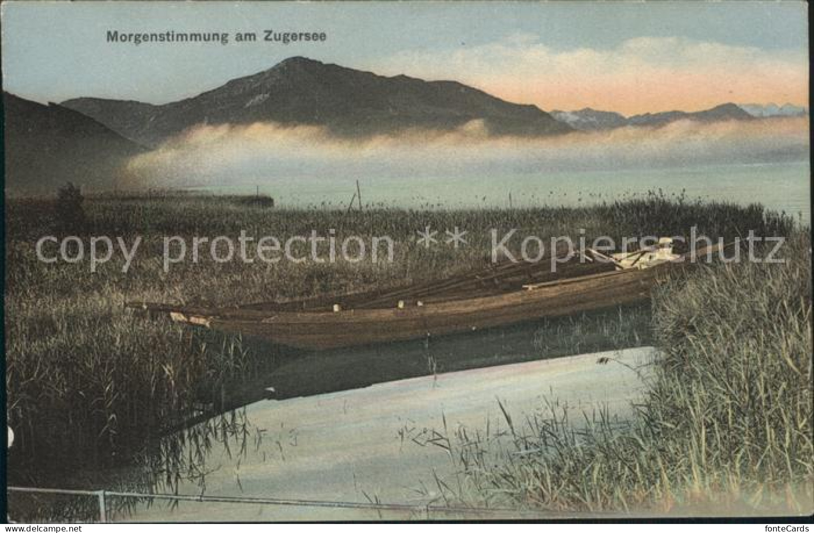Zugersee Boot Morgenstimmung