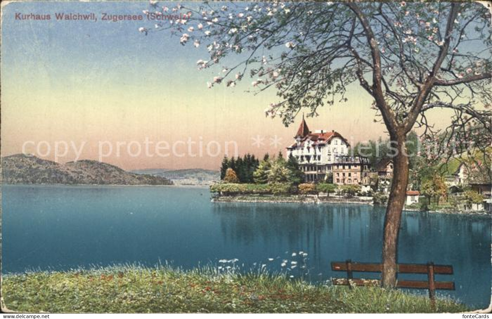 Zugersee Kurhaus Walchwil