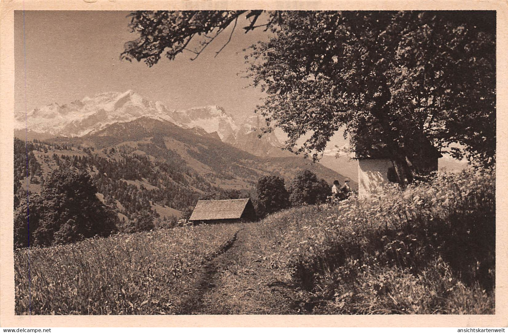Zugspitze - Fühlingssonntag am Fuße der Zugspitze ngl #155.187