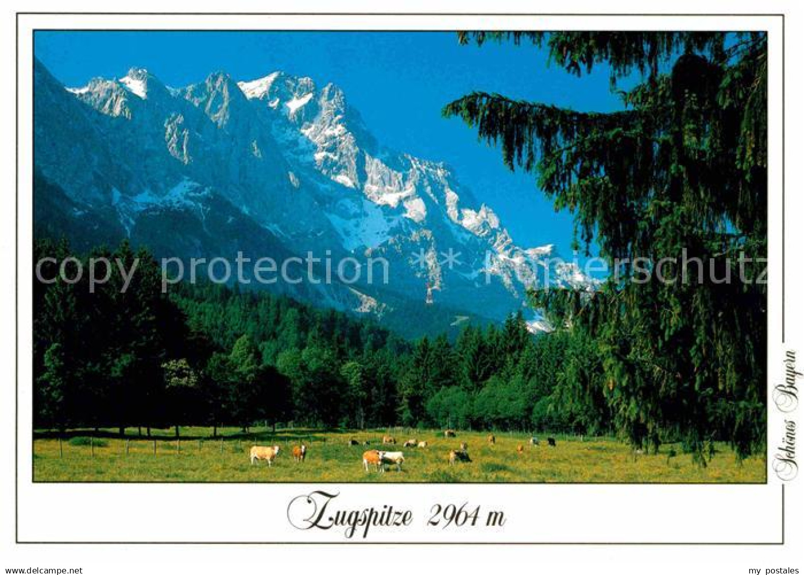 Zugspitze Panorama