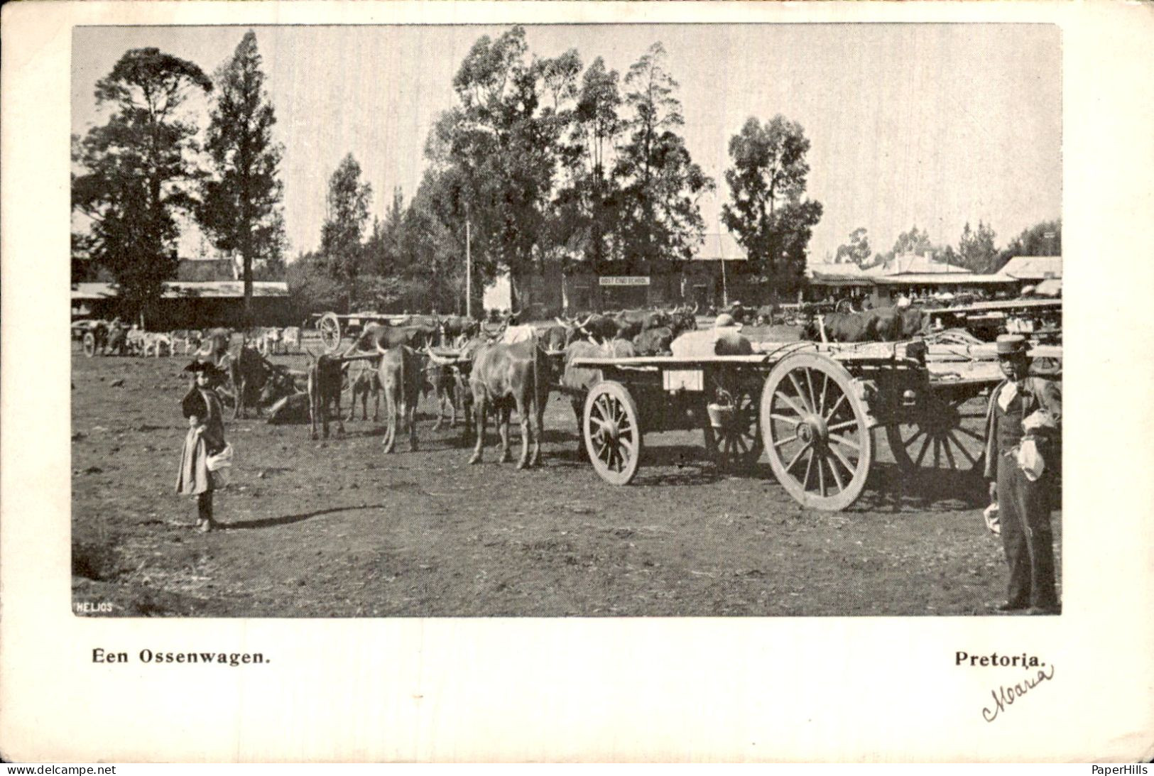 Zuid-Afrika South Africa - Pretoria - Een Ossenwagen