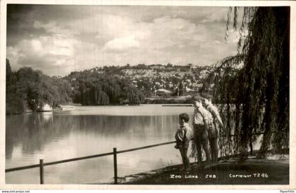 Afrika Africa - Zuid Afrika - Zoo Lake