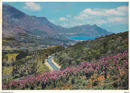 Carte Postale - Afrique du Sud - South Africa - Watsonias - CPM - Voir Scans Recto-Verso - Poscard - Carta Postal -  Pos