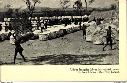CPA Brazzaville Französisch-Kongo, Die Baumwollernte