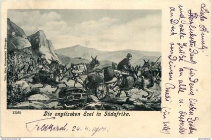 Die englischen Esel in Südafrika