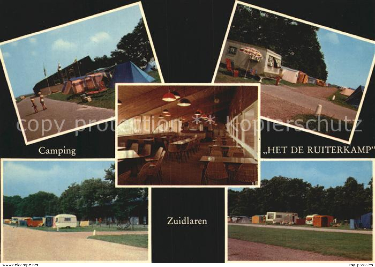 Zuidlaren Camping Het de Ruiterkamp Halle