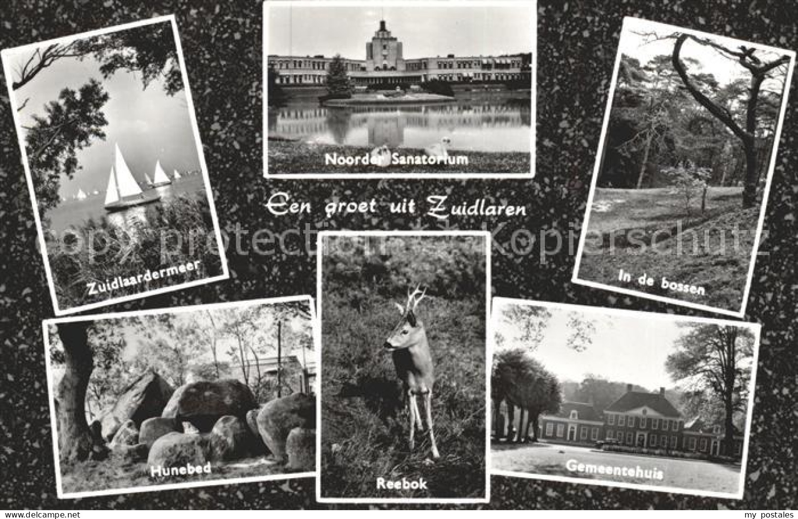 Zuidlaren Zuidlaardermeer Noorder Sanatorium Bossen Hunebed Reebok Gemeentehuis