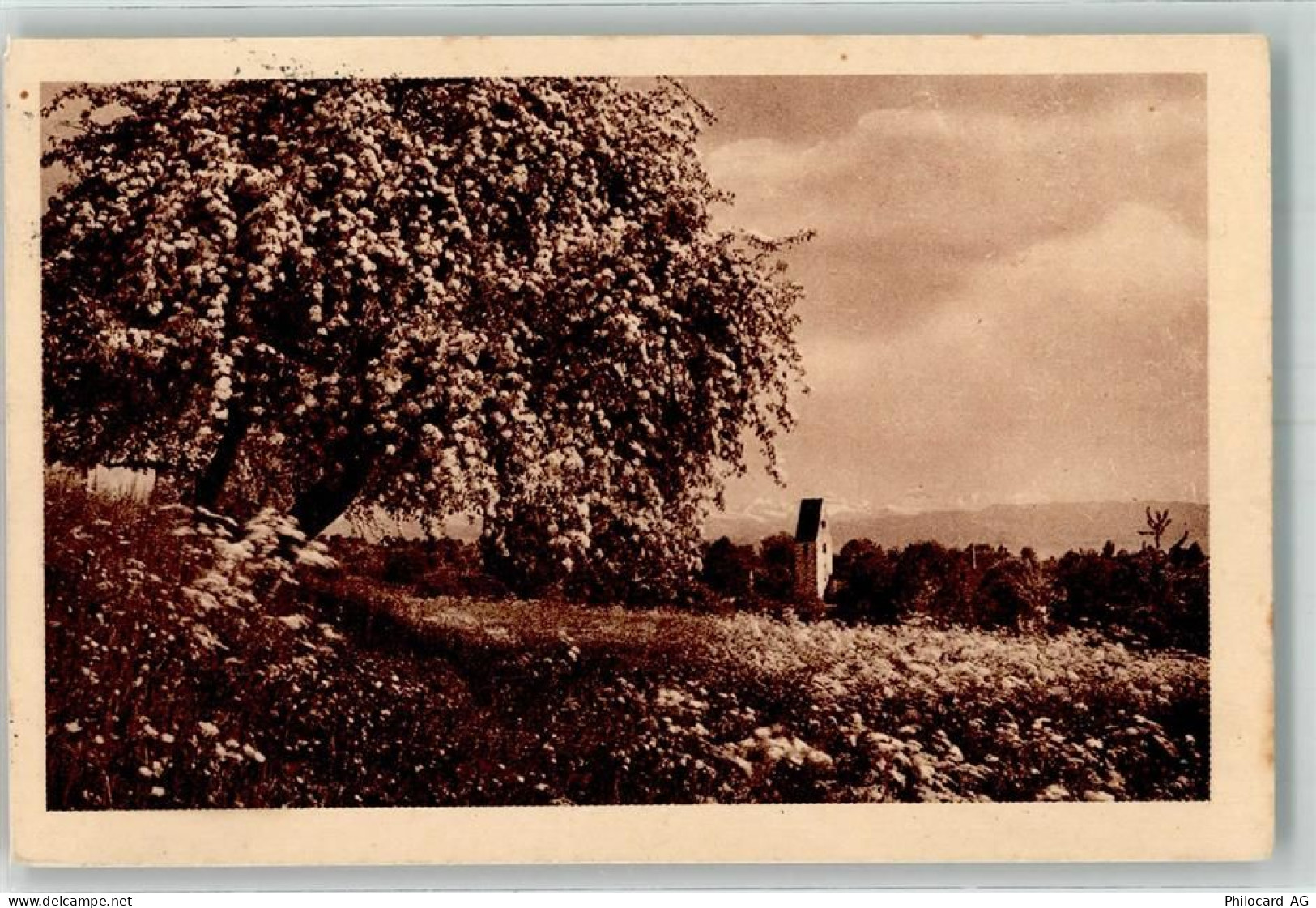 Zürichsee - Bahnpost Zug 3429 Feldpost - 39698701