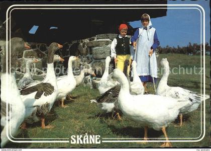 Skane Gaense Kinder