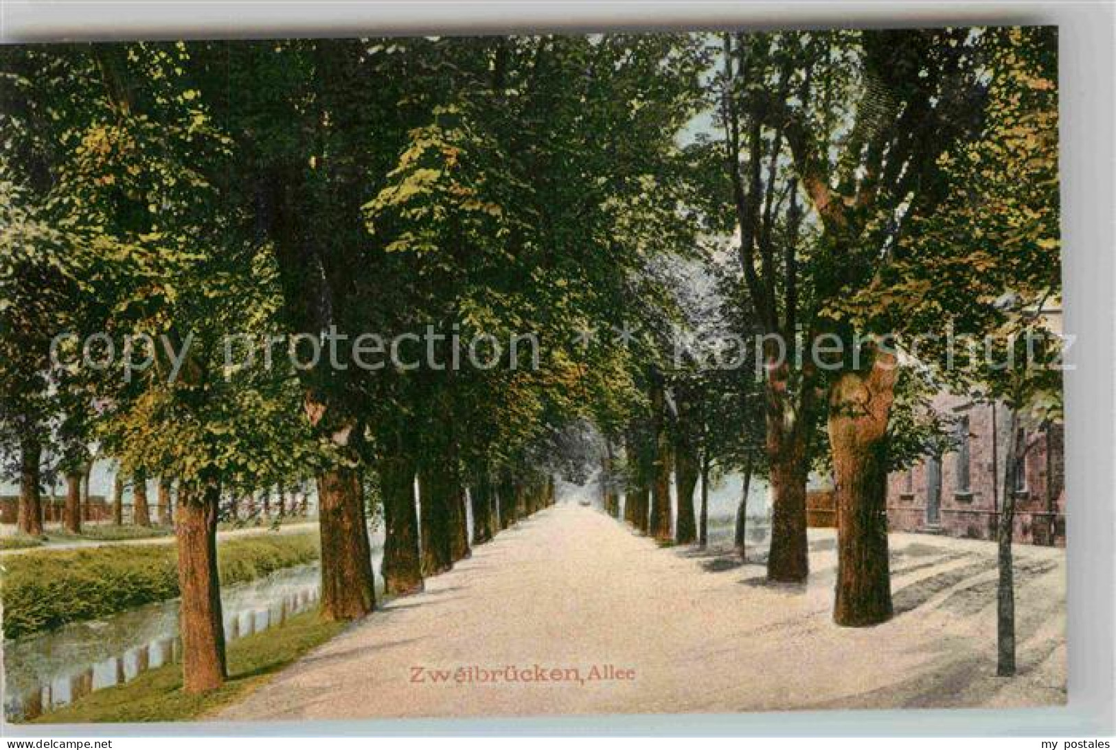 Zweibruecken Baumallee