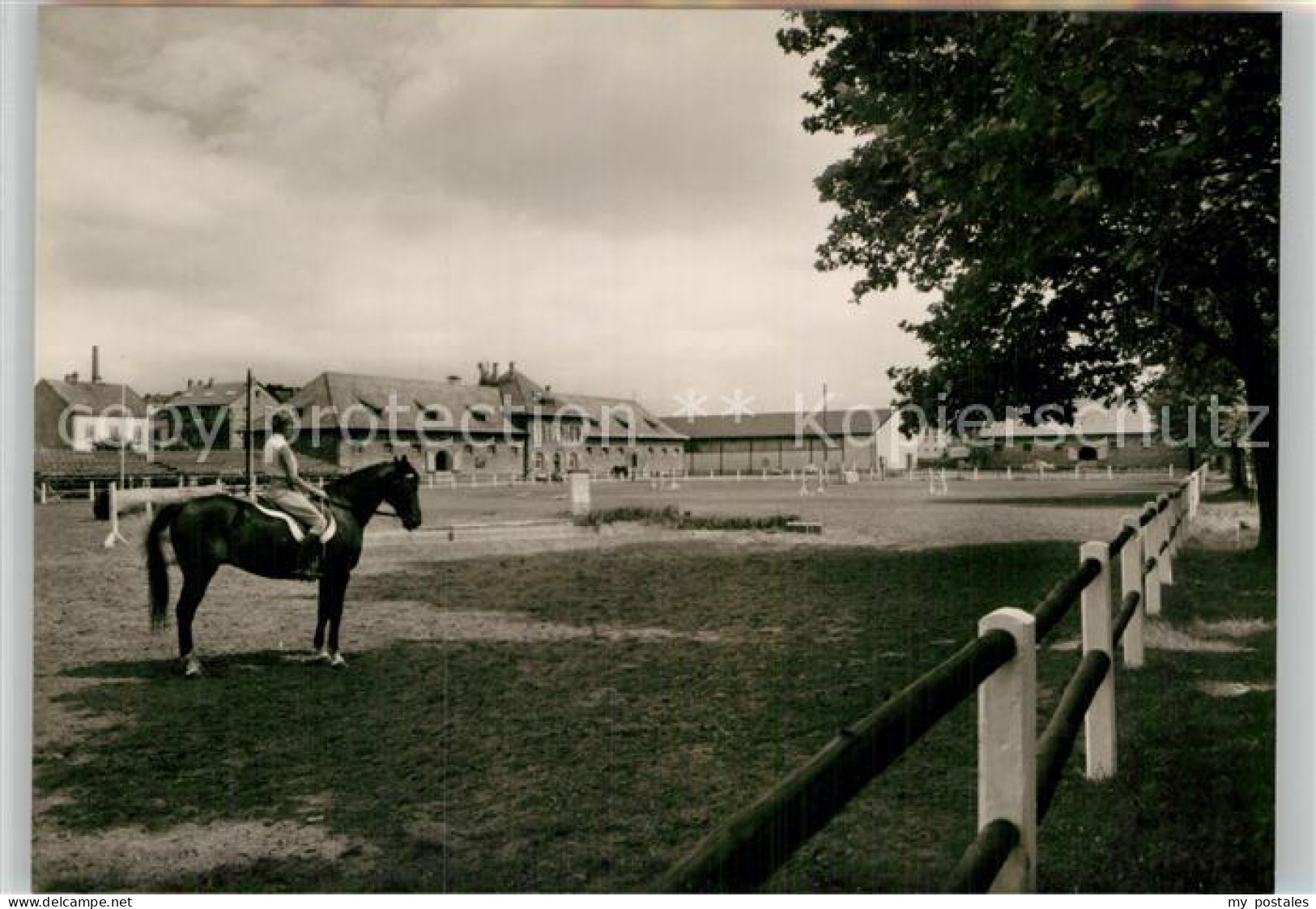Zweibruecken Landgestuet