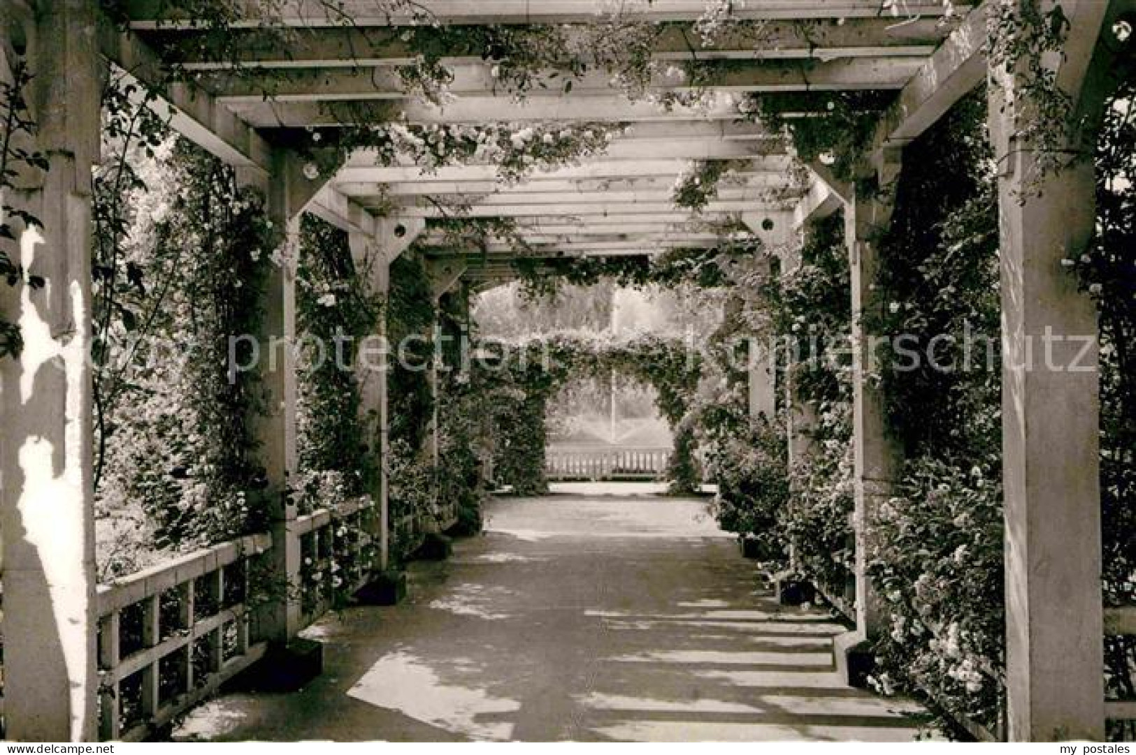 Zweibruecken Rosengarten