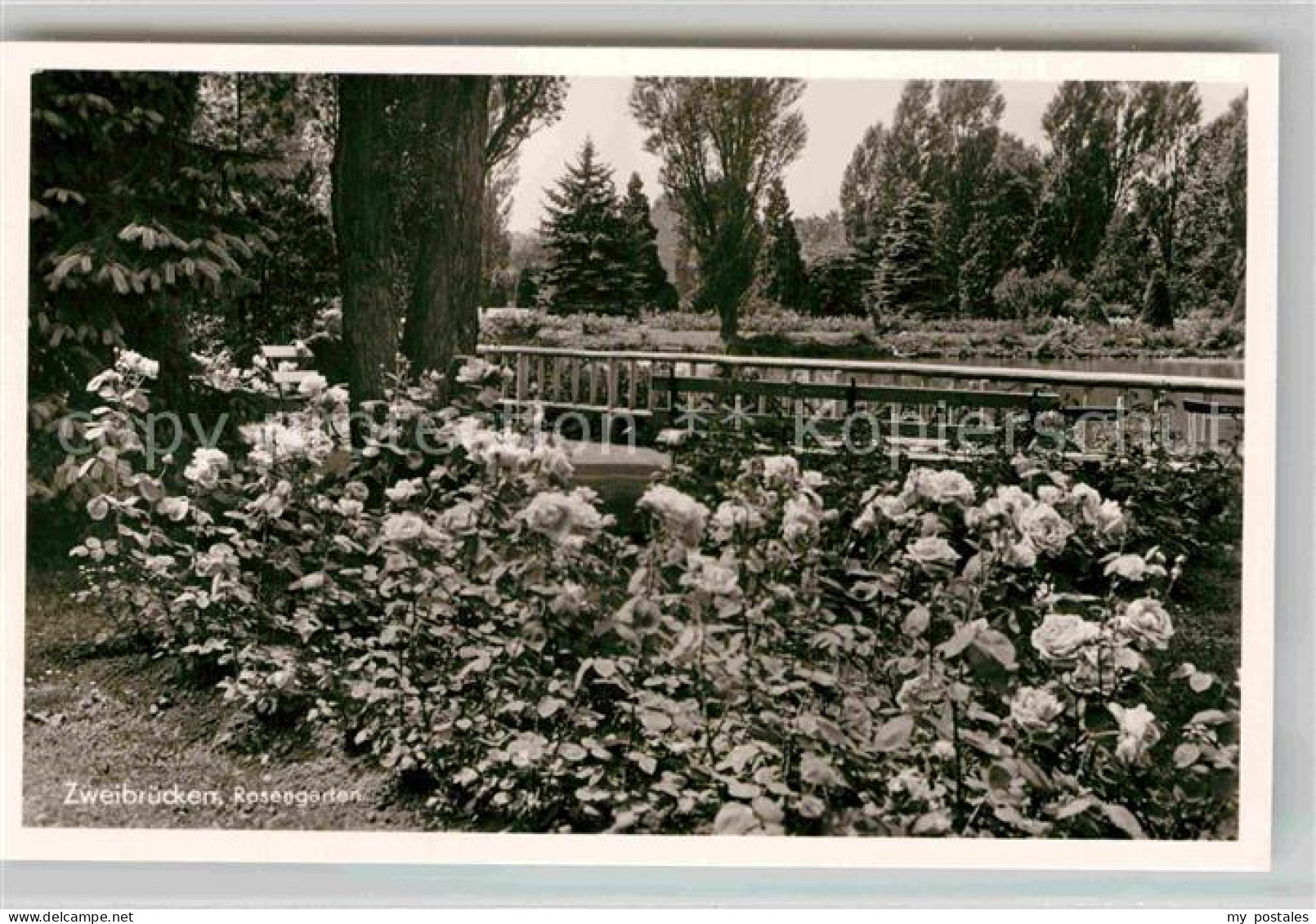 Zweibruecken Rosengarten