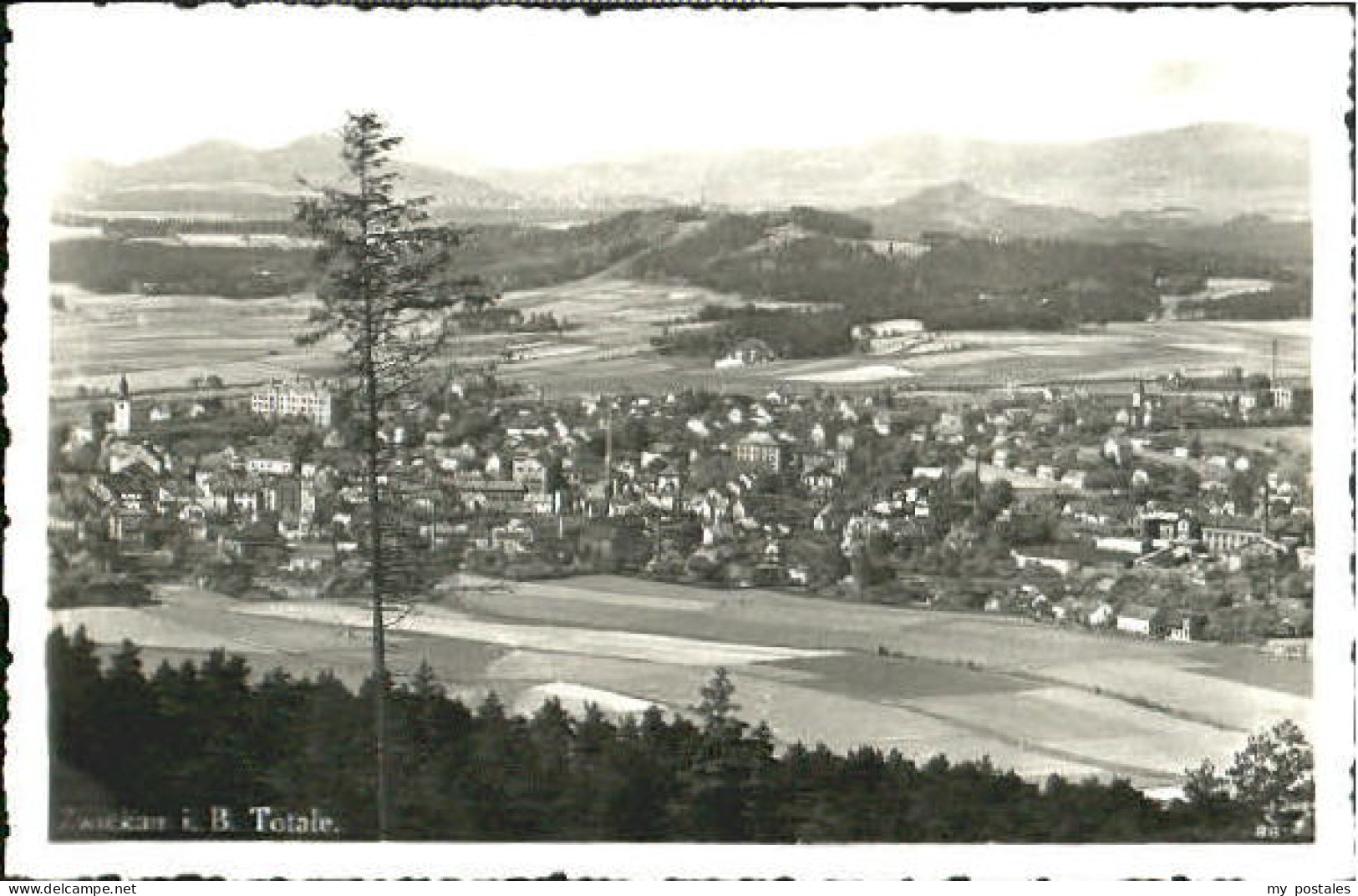 Zwickau Sachsen Zwickau