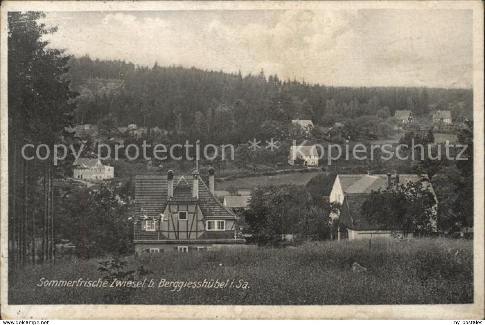 Zwiesel Bad Gottleuba-Berggiesshuebel