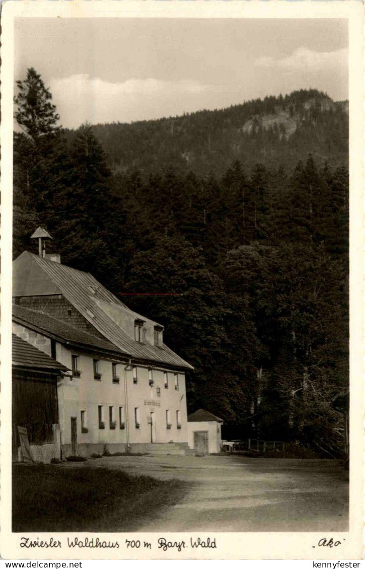 Zwiesel Waldhaus