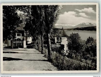 Brestenberg Schloss - Kurhaus und Heilbad Hallwilersee - 11051891