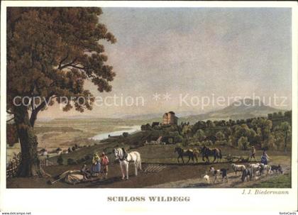 Wildegg Schloss Wildegg Bauern Pferde