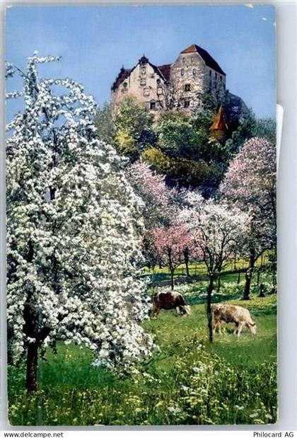 5103 Wildegg - Schloss Wildegg - 51338075