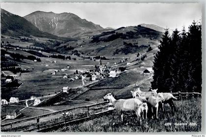 9108 Gonten - Ziegen - 51797009