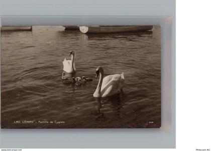 Lac Leman (CH) - 50268500