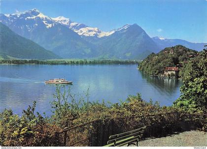 SUISSE RINGGENBERG LAC DE BRIENZ