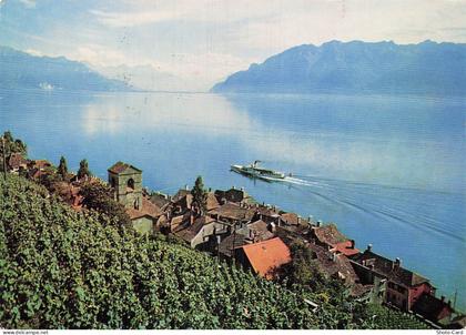 SUISSE SAINT SAPHORIN VIGNOBLE DE LAVAUX