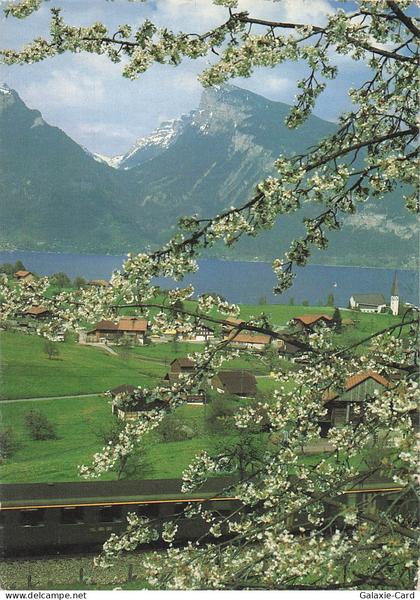 SUISSE SPIEZ LAC DE THOUNE