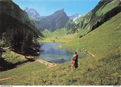 SUISSE ZURICH LAC DE SEELISBERG