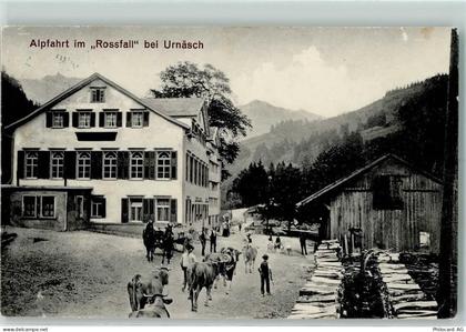 9107 Urnäsch - Alpfahrt im Rossfall Kühe - 13128200